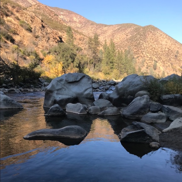 Meet your Posher, Beti - Picture 1 of 1